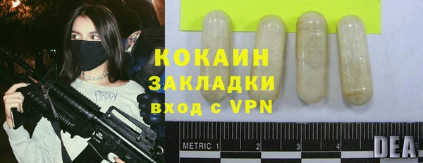 гашик Верея