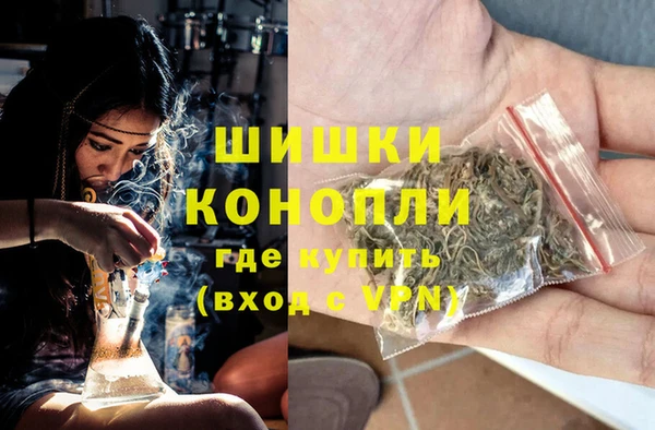 гашик Верея