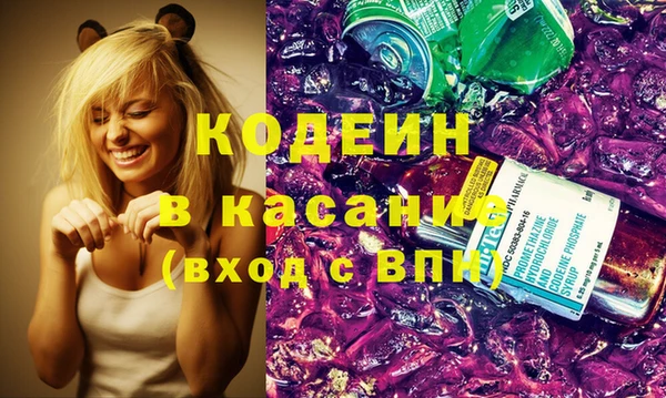 крисы Бородино