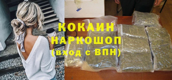 гашик Верея