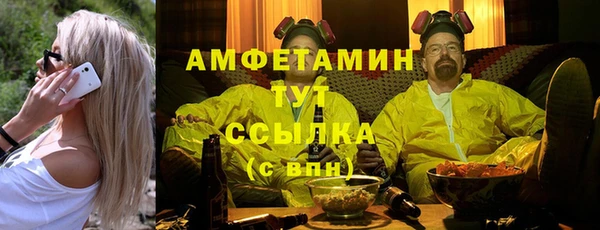 гашик Верея