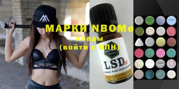 гашик Верея