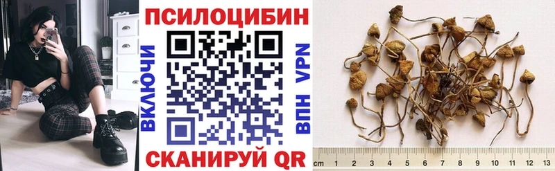 Купить закладки Высоковск Галлюциногенные грибы прущие грибы